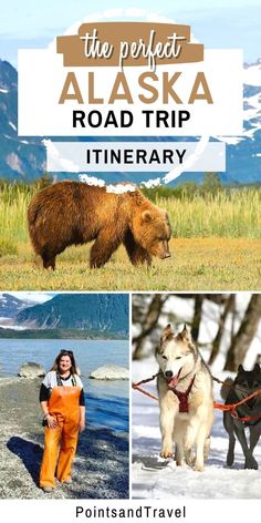 The Perfect Alaska Road Trip Itinerary Road Trip Summer, National Parks Road Trip