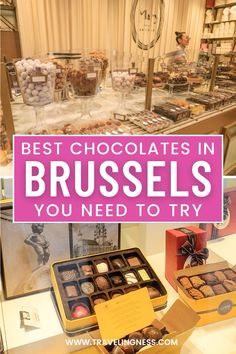 the best chocolates in brussels you need to try