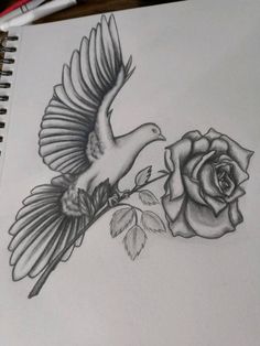 a pencil drawing of a bird flying over a rose