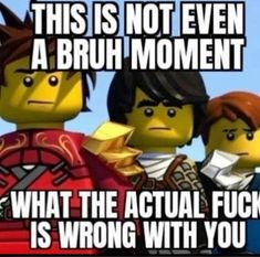 Cat Demon, Image Meme, Bruh Moment, Ninjago Memes, Mean Cat, Red Letters, Funny Times