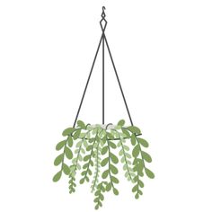 Download this transparent Cute Hanging Plant Vector IllustrationCute Hanging PlantVector Flat Hanging PlantPlant Illustration PNG image and clipart for freePngtree provides millions of free pngvectorscliparts and psd graphic resources for designers8625009 Hanging Plant Drawing Simple, Hanging Plant Drawing, Hanging Plant Art, Botanical Doodles, Hanging Plant Holders, Plant Cartoon, Plant Doodle, Bujo Layout, Plant Clips