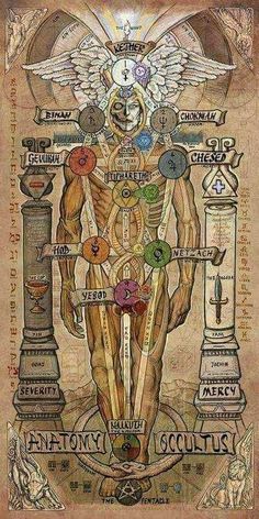 an image of the human body with many different symbols and numbers on it, as well as