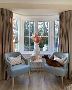 a dog is sitting in the corner of a room with two chairs and a table