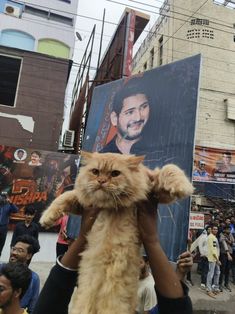 a person holding a cat in the middle of a crowded street with posters on it