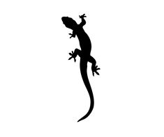 a black and white silhouette of a lizard