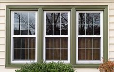 two windows with blinds on each side of the window and bushes in front of them