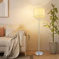 a living room with a couch, lamp and potted plant on the floor next to it