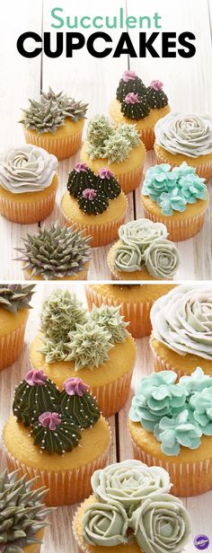 cupcakes decorated with succulent flowers and cactus plants on top are shown