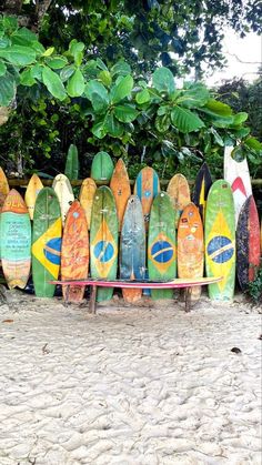 many surfboards are lined up in a row on the sand near trees and bushes