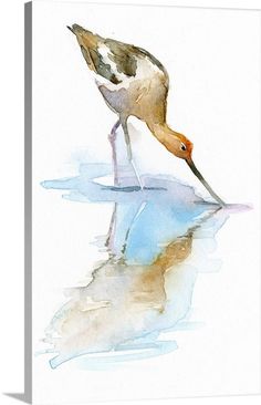 a watercolor painting of a bird standing in the water with its beak in it's mouth