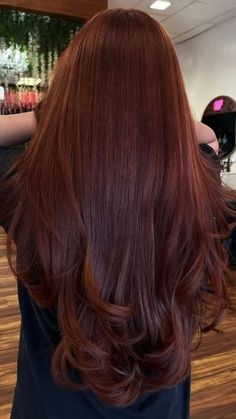 Hair Fall Aesthetic, Spiced Copper Hair, Dark Ginger Brunette Hair, Brunette To Auburn Hair, Reddish Brown Hair Brown Eyes, Auburn Brown Red Hair, Hair Colors For The Winter, Red Tint In Brown Hair, Deep Auburn Curly Hair