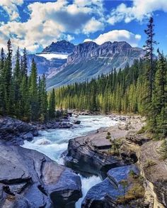 a river running through a forest filled with rocks and trees under a cloudy blue sky