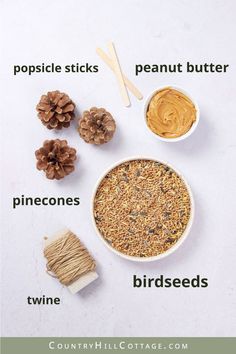 the ingredients to make pine nut butter are shown