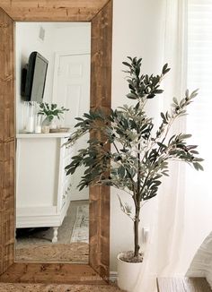 a mirror sitting on top of a wooden shelf next to a potted plant in a vase