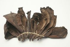 an arrangement of dried flowers on a white background