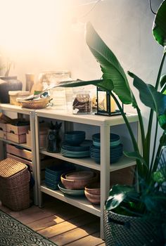 a table with plates and bowls on it next to a potted plant in the corner