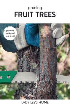 a person holding a saw on top of a tree with a glove over it's shoulder