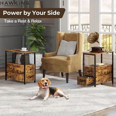 a brown and white dog laying on top of a rug in front of a chair