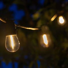 some light bulbs are hanging from a tree