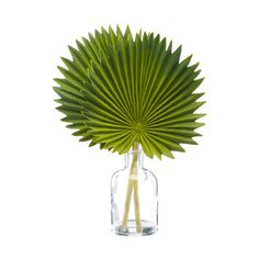 a glass vase filled with green leaves on top of a white table next to a wooden stick