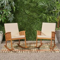 two chairs sitting next to each other on top of a rug in front of plants