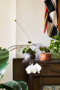 some plants are sitting on a table near a fire place and a wall hanging in the background