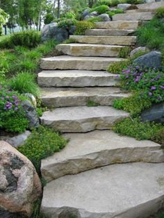 stone steps leading up to the top of a hill with purple flowers on it and green grass in the foreground