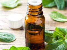 Peppermint Oil Hair, Nutmeg Essential Oil, Oregano Essential Oil, Thyme Essential Oil, Basil Plant, Aromatherapy Benefits, Cinnamon Essential Oil