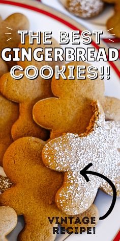 the best gingerbread cookies recipe on a plate