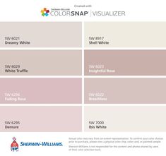 the color scheme for colorsnap visualizer is shown in pink, white and gray