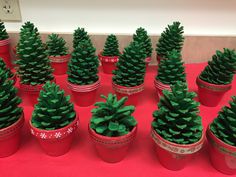 there are many small pine cones in the potted plants on the red tablecloth