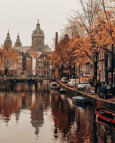 boats are parked on the water in front of buildings and trees with orange leaves around them