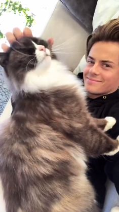 a woman sitting on a couch petting a cat with her paw in the air