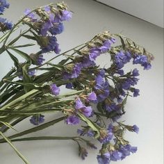 some purple flowers sitting on top of a white counter next to a window sill