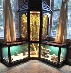 an aquarium in the corner of a room next to a window with curtains on it