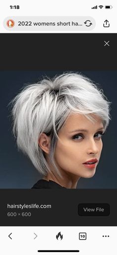 Edgy Bobs For Thick Hair, Silver Hair Short, 2022 Haircut, Black And Silver Hair, Haircut Short Hair, Hair Short Bob, Hair With Curtain Bangs, Graduated Bob