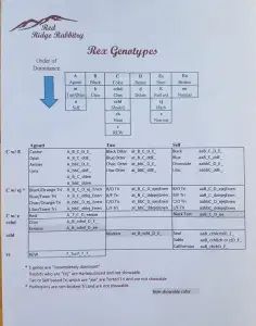 a sheet of paper with an image of the text and numbers on it in spanish