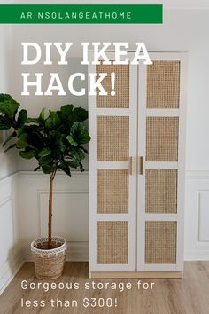 a potted plant sitting next to an open door with the words diy ikea hack