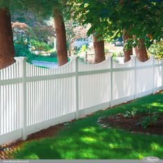 a white picket fence with trees lining the sides and grass growing on the ground in front of it