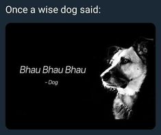 a black and white photo of a dog with the words, once a wise dog said bhau bhau bhau bhau bhau