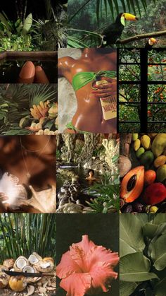 a collage of pictures with different types of plants and animals in them, including birds