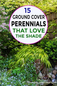 there is a sign that says ground cover perennials that love the shade