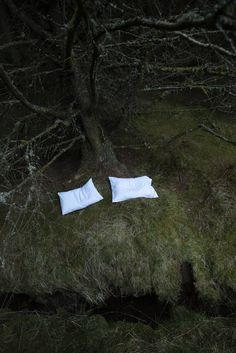 two white pillows laying on the ground under a tree