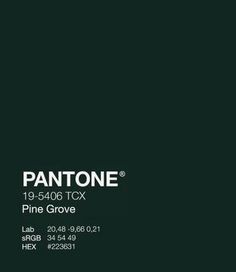 pantone's pine grove logo on a dark green background