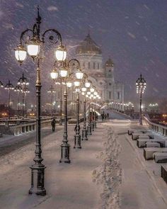 a snowy street lined with lamps and benches