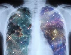 an image of the lungs in space