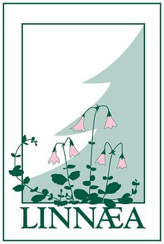 the logo for linnaea with pink flowers and green leaves on a white background