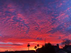 the sky is pink and purple as the sun sets in the distance behind palm trees