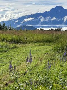 a grassy field with mountains in the distance and clouds above it on a partly cloudy day