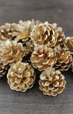 small pine cones are sitting on a table